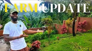 MY FARM UPDATE AS PROMISED,  GUESS WHAT HAPPENED IN JUST 1 WEEK?