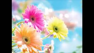КОГДА УТРОМ ОТКРЫВАЮ ГЛАЗА