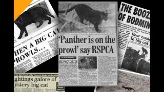 Big Cat Sightings in Southwest England - Cyptozoology - Beast of Bodmin