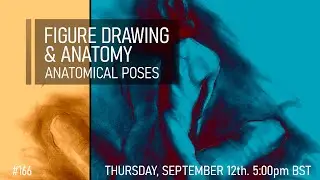 Figure Drawing & Anatomy - Anatomical Poses #166