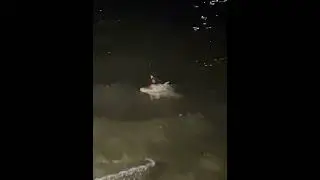 Рыбалочка Майкоп