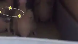 Yeni yavrulayan sultan papağanı