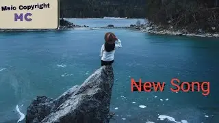 Nettson_ Redbird_Miss You Back New song No copyright music