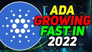 Cardano Exploding In 2022? ADA Price Explained!
