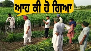 99158.57797 ਹਰਾ ਚਾਰਾ ਕੱਟਣ ਵਾਲੀ ਸਸਤੀ ਮਸ਼ੀਨ handi  ripper