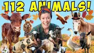 Morning Chores FARM TOUR! | It's Feeding Time! | Episode 2