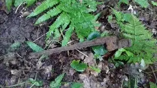 cop on war in Moscow region 2019we refute that everything has been dug up