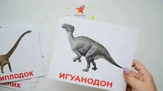 Новые большие развивающие карточки Домана распаковка