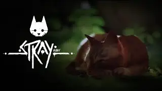 КОТИК ► Stray #1