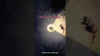 The Dog and the Protagonist | DARKWOOD 