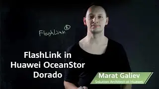 FlashLink in Huawei OceanStor Dorado