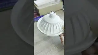 21 ноября 2023 г.