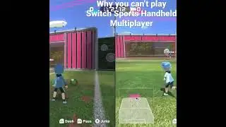 Why Multiplayer is IMPOSSIBLE on Switch Sports Handheld mode