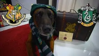 Personalized Hogwarts Trunk Unboxing (SLYTHERIN EDITION) Platform 9 3/4 Shop.