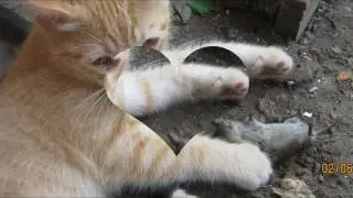 Мое слайд-шоу
