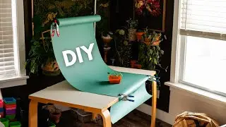 Create a simple DIY backdrop 🌿 Give your plants the spotlight they deserve