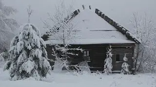 По заснеженным весям Псковщины...