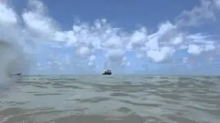 Pipa Beach Dolphins