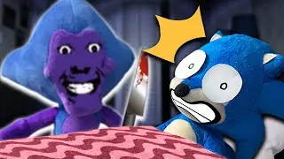 Sonic's WEIRD STRICT DAD! - Sonic Zoom
