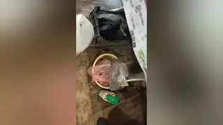 поехали тратить мамину пенсию