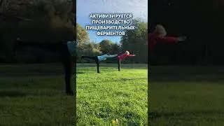 Знаете ли вы? Что делает эта поза с организмом. ПОЗА ВОИНА III 