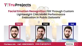 Facial Emotion Recognition FER Through Custom Lightweight CNN Model Performance Evaluation in Public