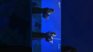20 октября 2024 г.