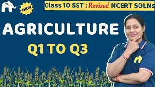 Agriculture Class 10 Social Science | Revised NCERT Solutions | Chapter 4 SST Questions 1-3
