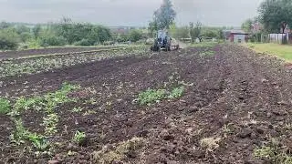 Опять он Синий трактор