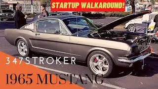 1965 Mustang Fastback Startup and Walkaround