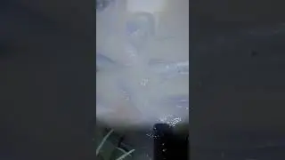 DEMO BERAKHIR RICUH!!!!!!!!!!!!!!!!!!! 