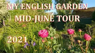 Mid June Tour - My English Garden - June 2021