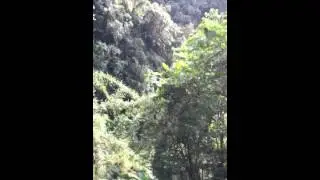 The Worlds Most Dangerous Road, La Paz - Death Road