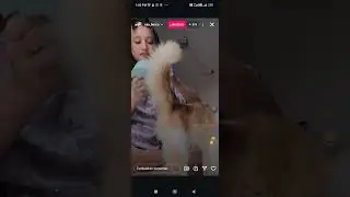 BECA KUNTI BOGEL LIVE DI IG !! MAIN SAMA KUCING....LIHAT SAMAPAI AKHIR