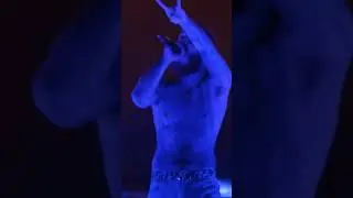 Rockstar 