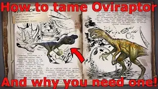 Ark Survival Ascended Oviraptor, Ark How to tame Oviraptor and why you need one, Ark Oviraptor use