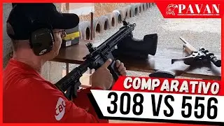 COMPARATIVO 308 VS 556!