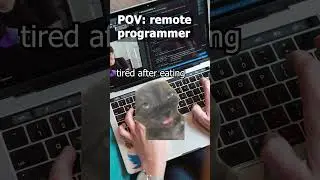 POV: everyday life of a remote programmer 2024 #programming #top