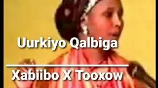 Xabiiba Xasan Tooxow                          | Uurkiyo Qalbiga | Lyrics