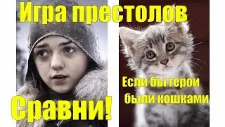Если бы герои Игры престолов были кошками Сравни!