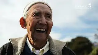 TESOROS VIVOS - RENÉ FIGUEROA