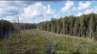 НАШЕЛ ЗАБРОШЕННУЮ ФЕРМУ. ЗАШЕЛ В БУРЕЛОМ НА МЕСТЕ ЗАБРОШЕННОЙ ДЕРЕВНИ.