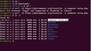 Instalación de Composer 2 en Linux