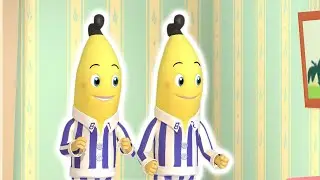 Tartarugas em Turbulência! | Bananas de Pijama Temporada 1 | Episódios completos | Bananas de Pijama