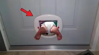 Photos that perfectly sum up what being parents are like #funny