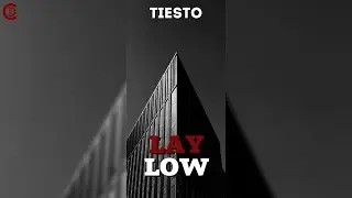 Tiësto - Lay Low ( EDM/Motion Edit )