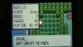 Random Shiny Taillow Encounter While EVing Shiny Latias! :D I love July!