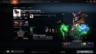Dota 2 Feeder | Match id : 4357496399 | Player ID : 154781074