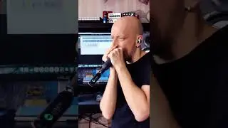 Funky harmonica in 3rd position with envelope filter