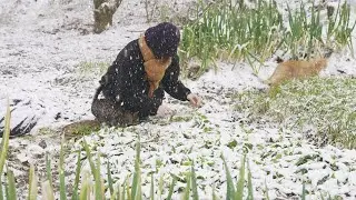 몽글몽글~ 보기만해도 녹아내리는 포근한 겨울 영상 🍲